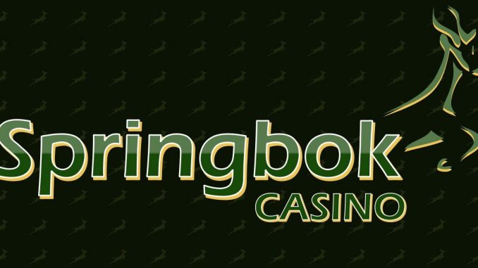 springbok casino review