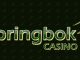 springbok casino review