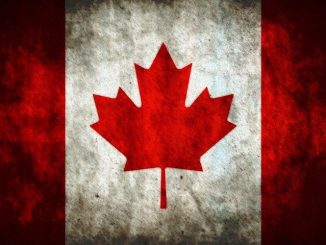 Top Rated Online Casinos In Canada (With Bonuses)