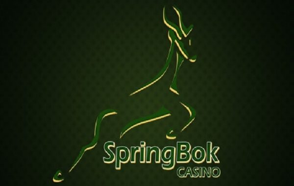 springbok casino review