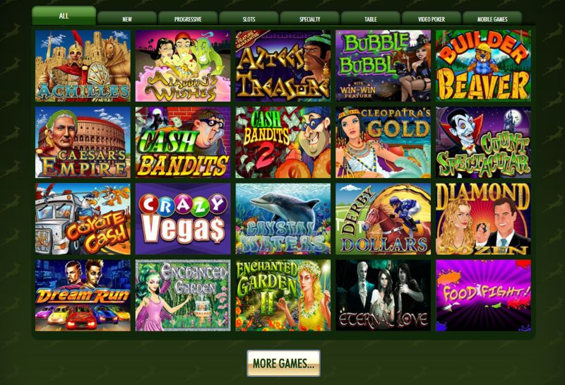 springbok casino review