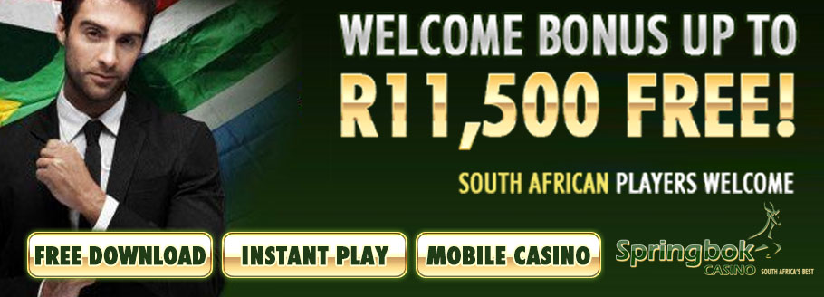 springbok casino review 